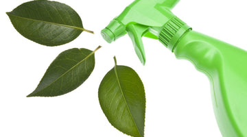 Ecologia oggi: l’evoluzione dei prodotti verso una svolta “green”