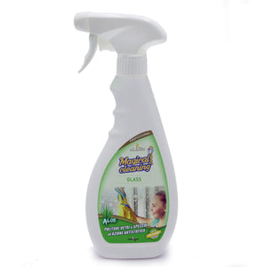 Prodotto per pulire i vetri professionale - Spray 500 ml